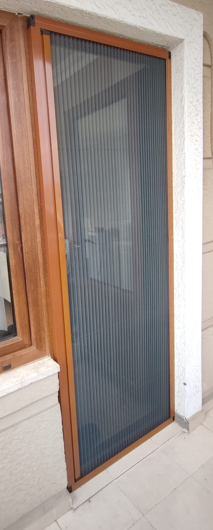 Altın Meşe Profil Rengi ve Filise Kedi Tülü Sistemleri 